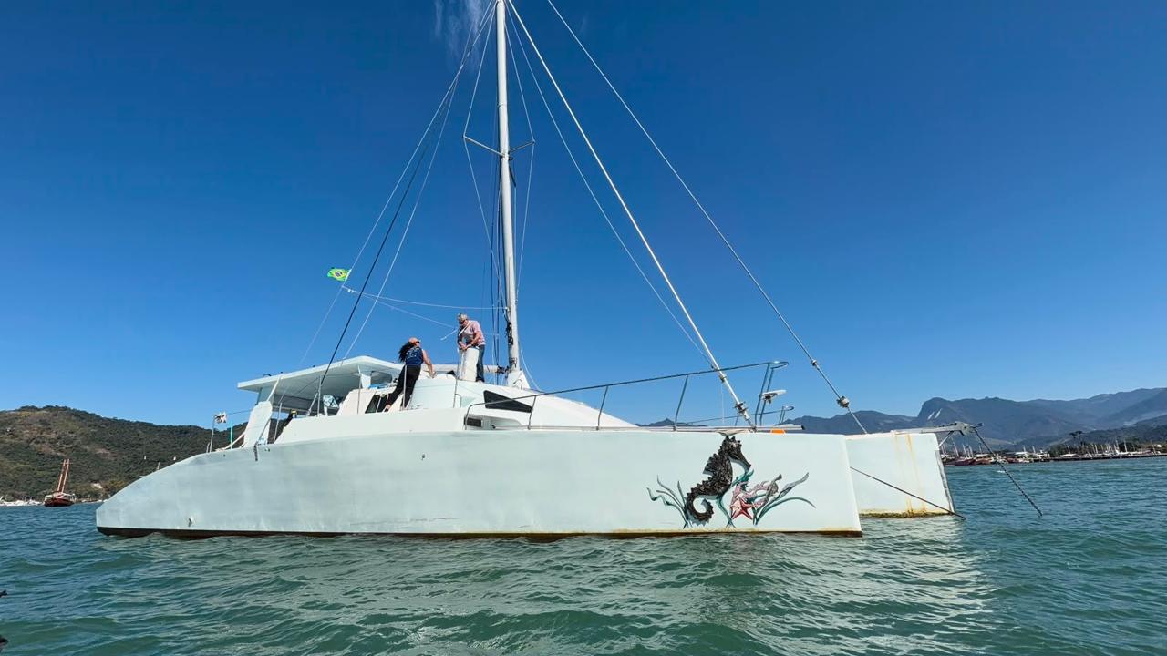 Catamarã Yanmar 2012 — foto 5