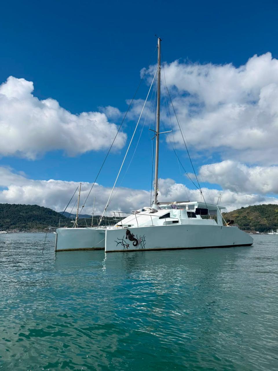 Catamarã Yanmar 2012