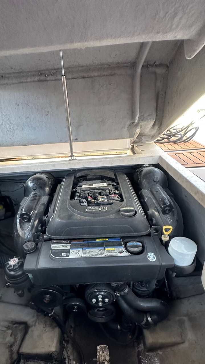 COTA 25% - ROYAL MARINER 270 - 2017 — foto 10